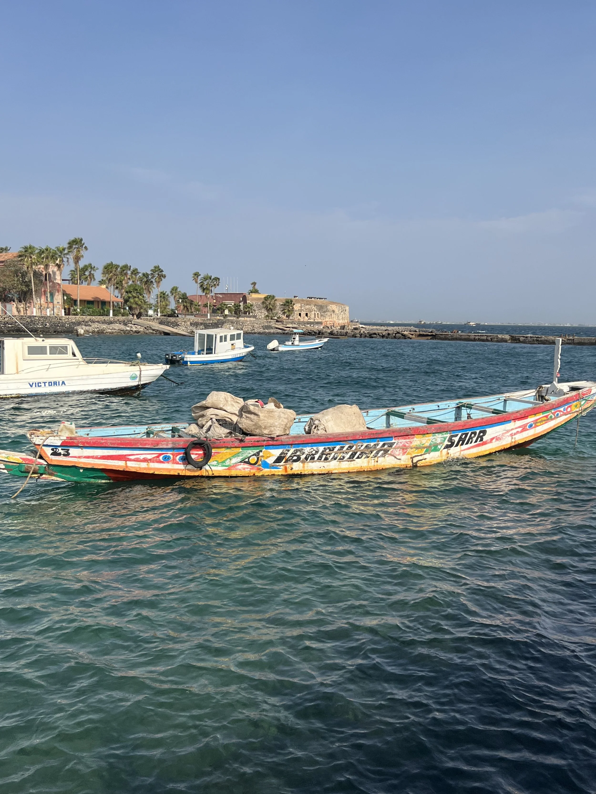 A Taste of Senegal Trip - January 18-23, 2025 — Dakar NOLA